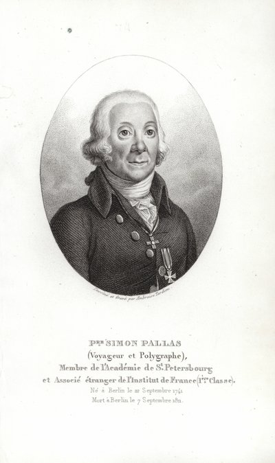 Peter Simon Pallas de German School