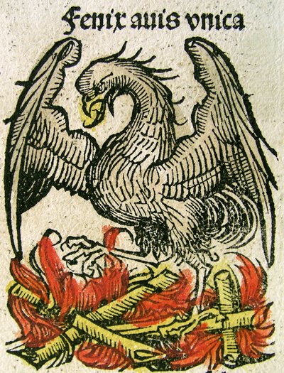 Fénix, publicado en la Crónica de Núremberg, 1493 de German School