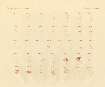 Expresión fisionómica del órgano sensorial y las partes conectadas de German School