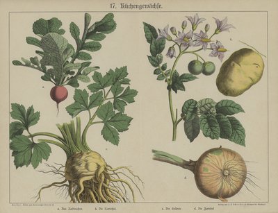 Plantas de German School