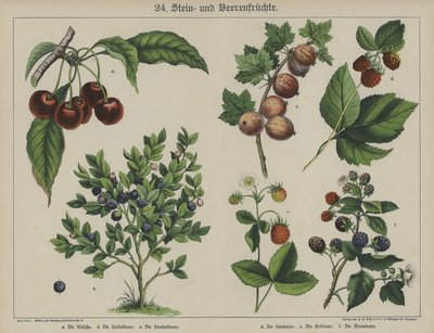 Plantas de German School