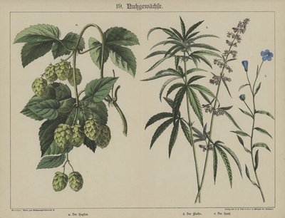 Plantas de German School