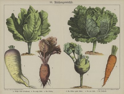 Plantas de German School