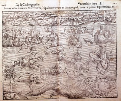 Placa que representa todos los tipos de monstruos marinos y terrestres encontrados en regiones del norte: Xilografía tomada de la Cosmografía Universal de Sebastien Munster. Bale de German School