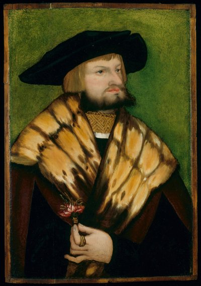 Retrato de Leonhard Fuchs de German School