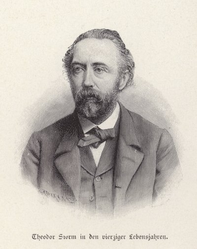 Retrato de Theodor Storm de German School