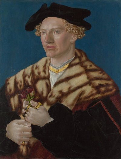 Retrato de hombre, c.1530-40 (óleo sobre haya) de German School