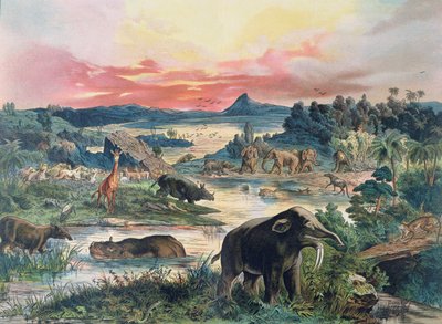 Prehistoria - Terciario - reconstrucción del entorno natural en Europa y algunos de los animales de este período, 1886 de German School