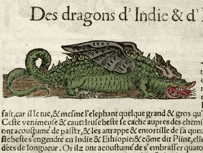 Representación de un dragón de la India. Xilografía tomada de la Cosmografía Universal de Sebastien Munster. Bale de German School