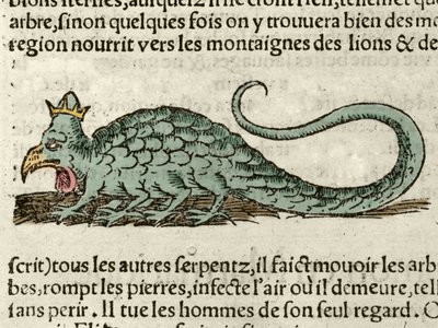 Representación del monstruo mitológico Basilisco. Xilografía tomada de la Cosmografía Universal de Sebastien Munster. Bale de German School