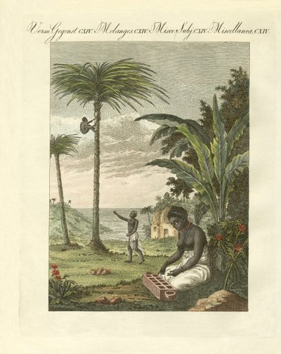 Escenas de África de German School