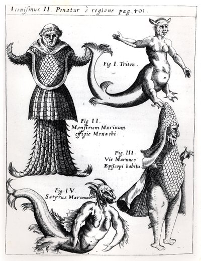 Monstruos marinos, ilustración de Physica Curiosa por Gaspar Schott S.J. (1608-66), publicado en Wurzburgo 1662 de German School