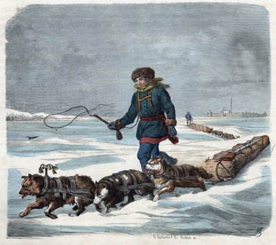 Perro de trineo en la nieve de América. En 