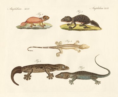 Dinosaurios extraños de German School