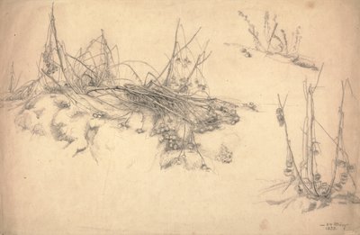 Estudio de un cardo, 24 de marzo de German School