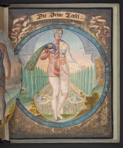 Tablas que representan al hombre en tres estados diferentes de German School