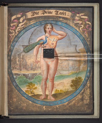 Tablas que representan al hombre en tres estados diferentes de German School
