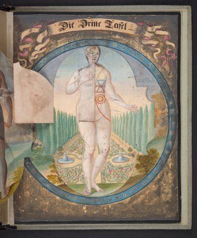 Cuadros que representan al hombre en tres estados diferentes, Añadir MS 5788 de German School