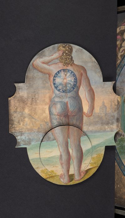Cuadros que representan al hombre en tres estados diferentes, Añadir MS 5788 de German School