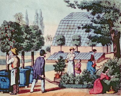Cuidando el jardín, c.1860 de German School