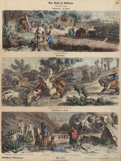 El Oeste Americano: un nuevo asentamiento; lazando caballos salvajes en Nuevo México; un camino de montaña en México (grabado coloreado) de German School