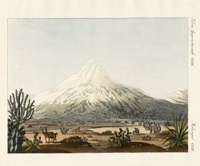 El Chimborazo en Sudamérica de German School