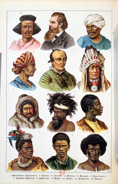 Las Diferentes Razas Humanas, de Historia Natural del Reino Animal por Gotthelf Heinrich von Schubert (1780-1860), 1861 de German School