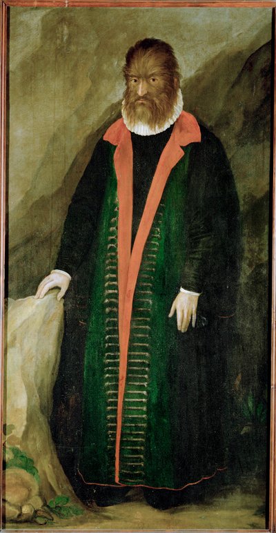 El Peludo, Petrus Gonzalvus, nacido en 1556 en Teneriffa ... de German School