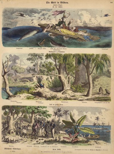 El Pacífico: náufragos a la deriva en una balsa en los Mares del Sur; bosque en Nueva Holanda (Australia); una isla del Pacífico de German School