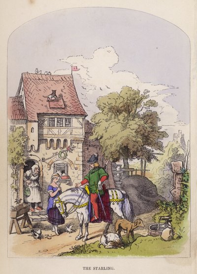 El Estornino de German School