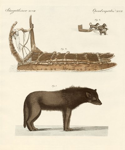 El perro de la Bahía de Baffin de German School