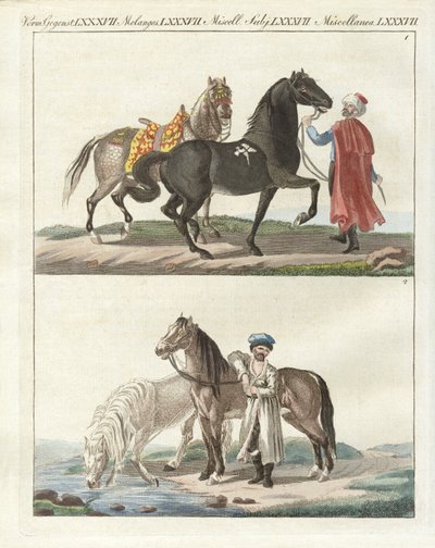 El caballo con sus diferentes tipos de German School