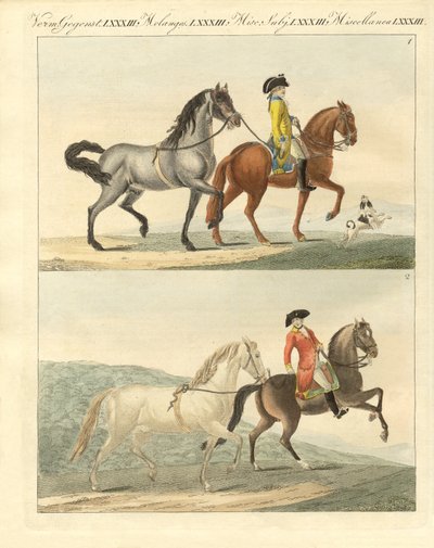 El caballo con sus diferentes tipos de German School