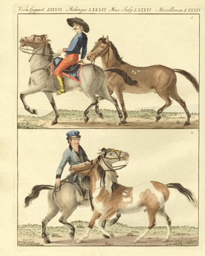 El caballo con sus diferentes tipos de German School