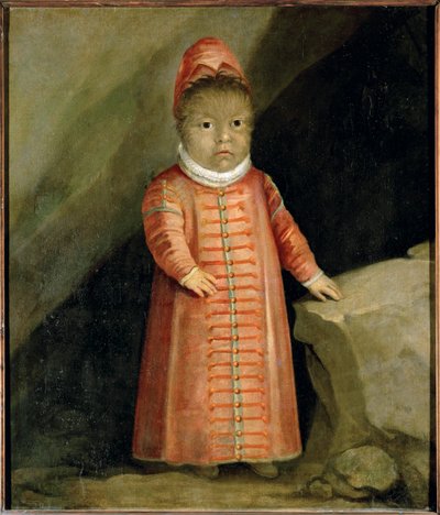 El hijo de Petrus Gonzalvus fue examinado en 1596 ... de German School