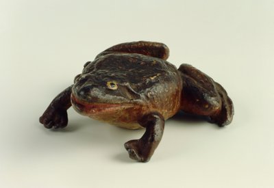 Sapo de German School