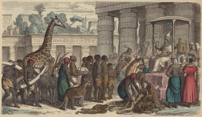 Ofrecimientos de tributo de Etiopía presentados al faraón de Egipto (grabado coloreado) de German School