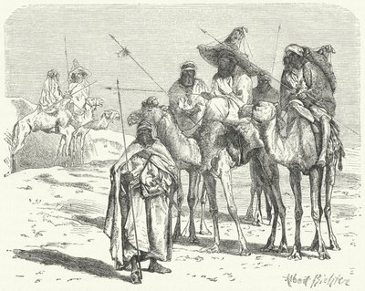 Tuaregs de German School
