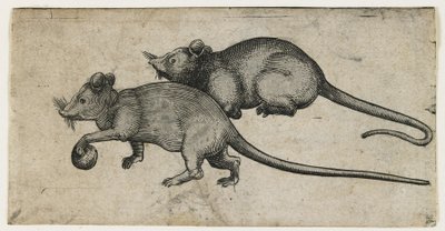 Dos ratones, 1450-80 de German School