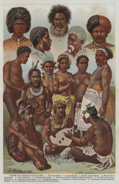 Tipos de razas australianas (litografía a color) de German School