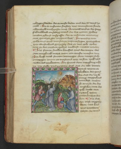 Ulrich von Pottenstein, El libro de la sabiduría natural, Egerton MS 1121 f.114v, c.1430 (tinta y color sobre pergamino) de German School