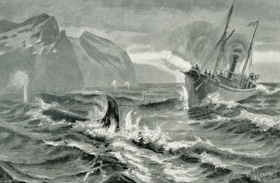 Usando un arpón desde un barco de vapor rápido de German School