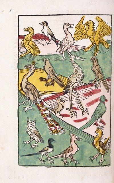 Varias especies de aves en un paisaje, 1499 de German School