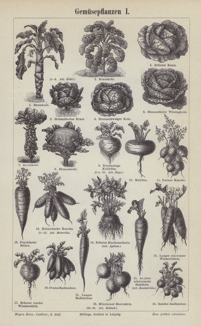 Verduras (grabado) de German School