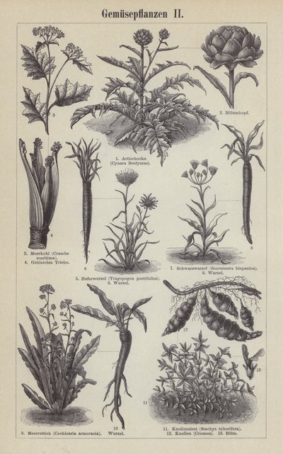Vegetales de German School