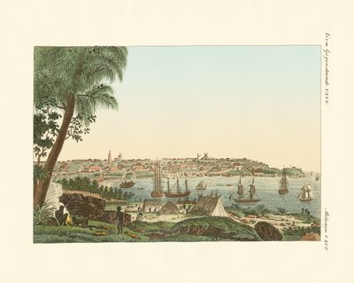 Vistas de la ciudad de Sídney (grabado coloreado) de German School