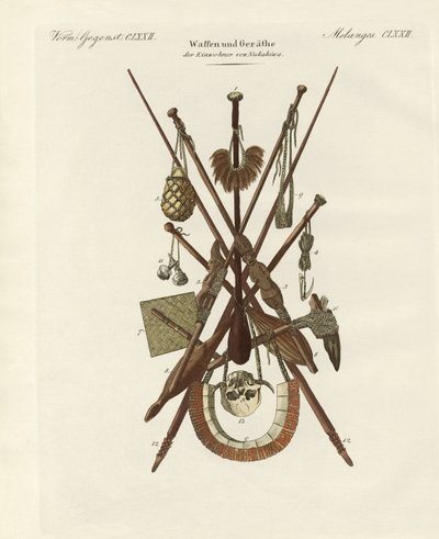 Armas y utensilios domésticos de los habitantes de Nakuhiwa de German School