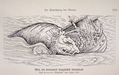 Ballena atacando un barco de German School