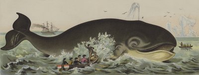 Caza de ballenas de German School