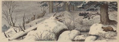 Paisaje de invierno en Canadá de German School